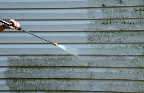 Best Solar Panel Cleaning  in Byron, IL